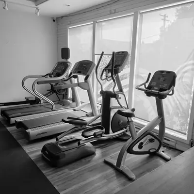 Cardio row: treadmills, elliptical and bike by the windows
